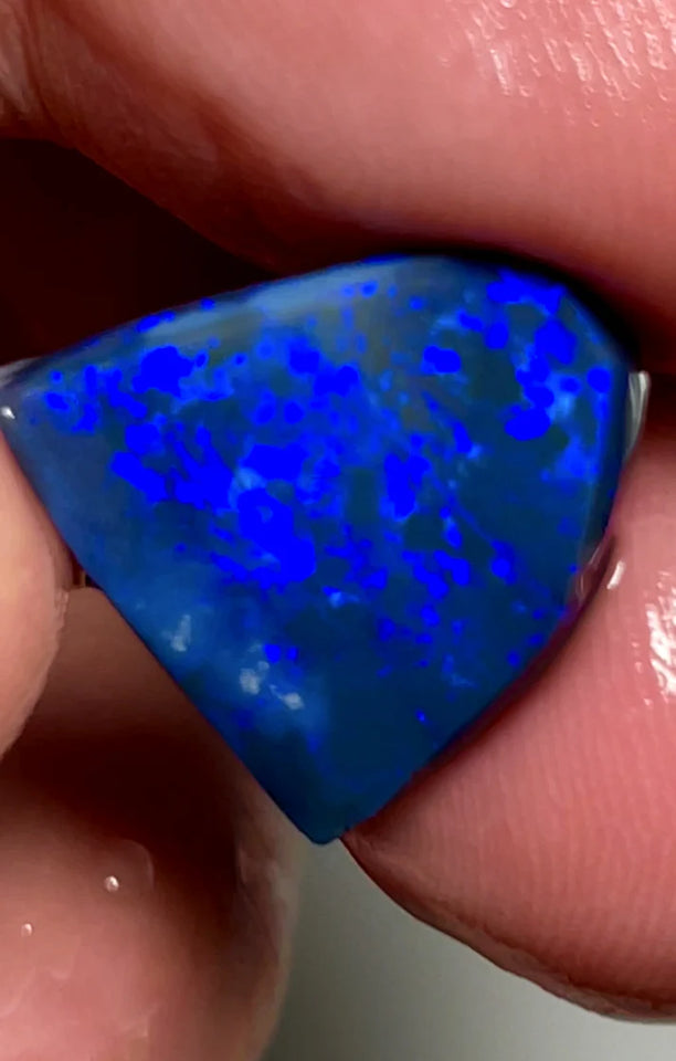 NEW YEARS DAY THNK U AUCTION1 Big Sized Blue on Black Opal Rub Rough 10cts L/Ridge Full of gorgeous fires 17x12x3mm SKU#0270