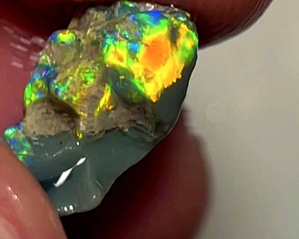 Lightning Ridge Rough Opal 5.25cts Dark Base Carvers Candy High Grade Bright Orange/Yellow Multifires 17x12x8mm WAE2