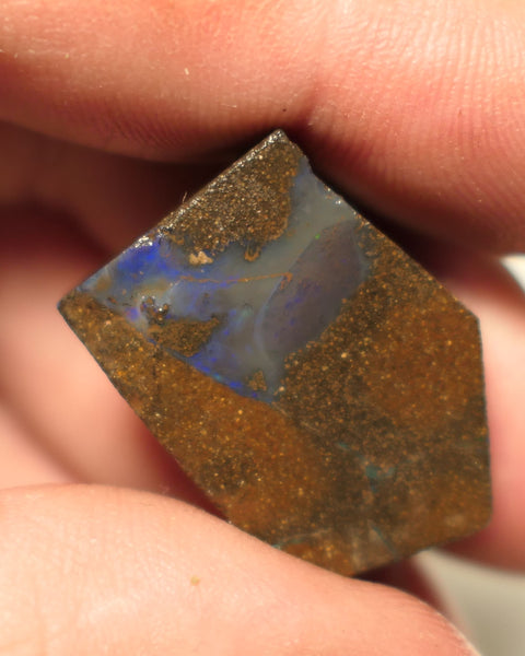 Queensland Boulder Matrix opal 50cts rough / slice Koroit  some blue fires 27x19x8mm 15ARP