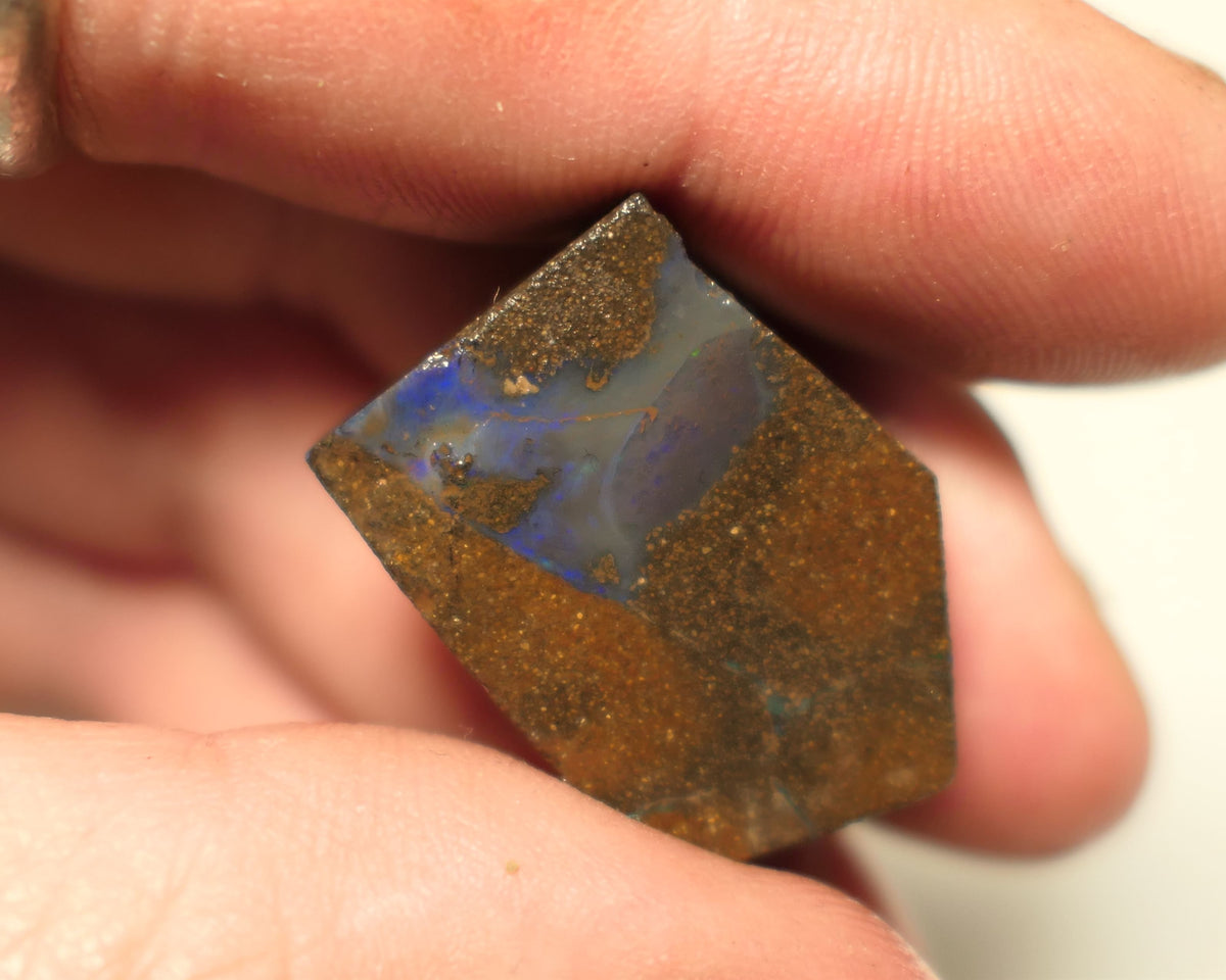 Queensland Boulder Matrix opal 50cts rough / slice Koroit  some blue fires 27x19x8mm 15ARP