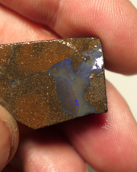 Queensland Boulder Matrix opal 50cts rough / slice Koroit  some blue fires 27x19x8mm 15ARP