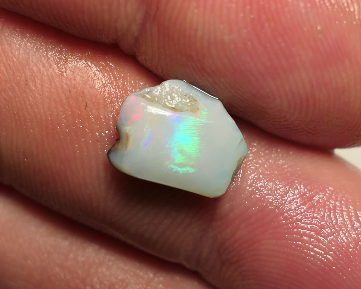 Lightning Ridge Rough / Rub Dark Seam opal Miners Bench® 2.6cts Directional Vibrant zone of broad fires 10x8x3mm 16APR