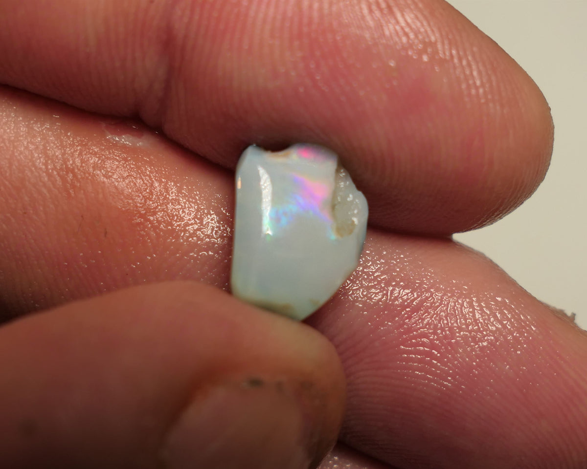 Lightning Ridge Rough / Rub Dark Seam opal Miners Bench® 2.6cts Directional Vibrant zone of broad fires 10x8x3mm 16APR