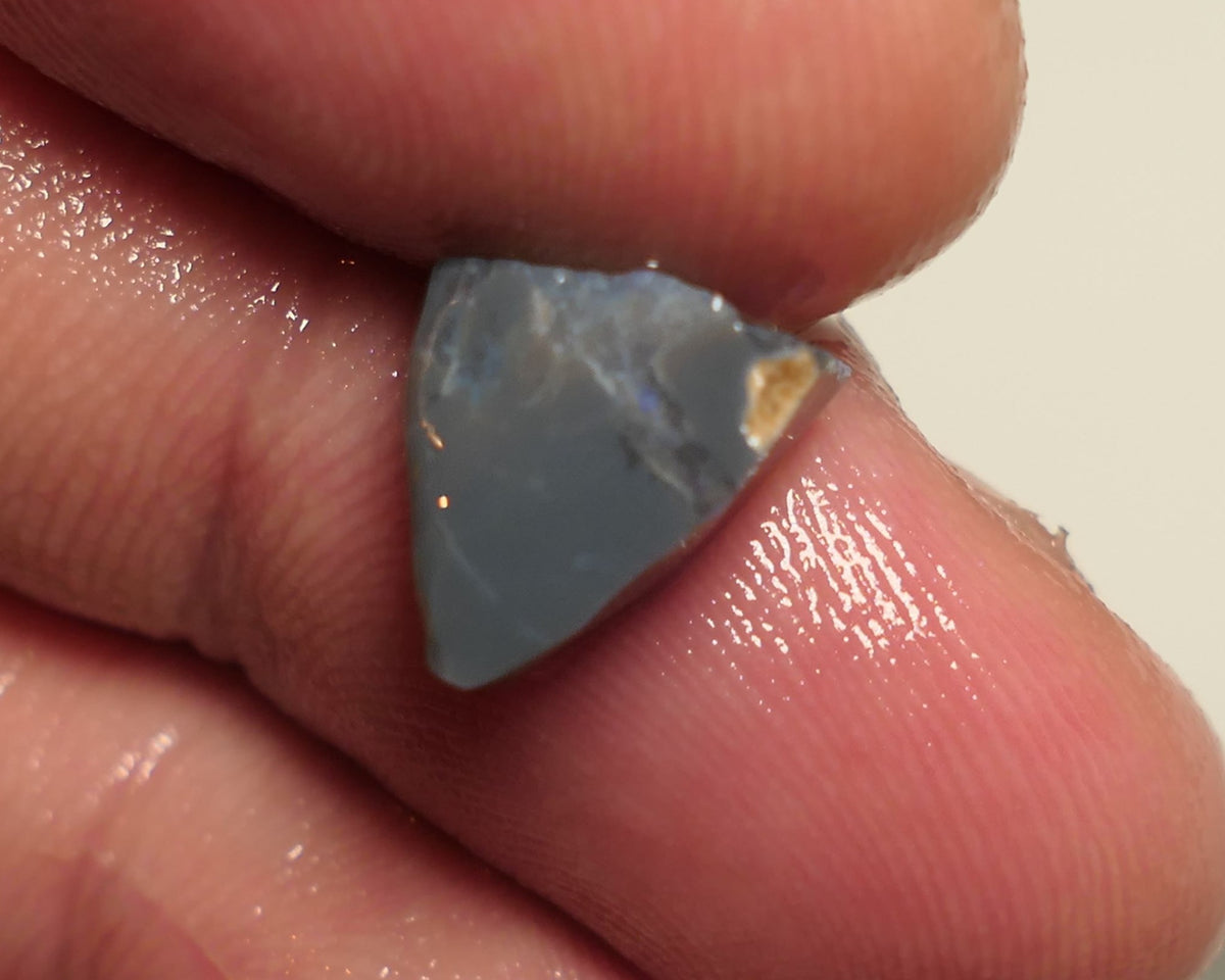Lightning Ridge Rough / Rub / Preform Blue on Dark Seam opal Miners Bench® 3cts Nice Blue Fires Sand inclusions 10x10x5mm 17APR