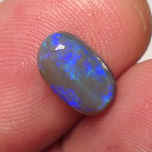 Lightning Ridge Dark Opal Gemstone 1.7cts Jewellery Grade N5 Body Tone B4 Brightness Rolling Green / Blue fires 10x6x3mm WAC68