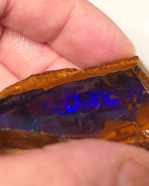 Queensland Boulder Matrix opal 195cts rough / Rub Winton Bright Gem Blue fires 70x30x15mm 0418