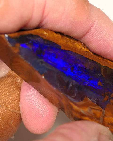 Queensland Boulder Matrix opal 195cts rough / Rub Winton Bright Gem Blue fires 70x30x15mm 0418