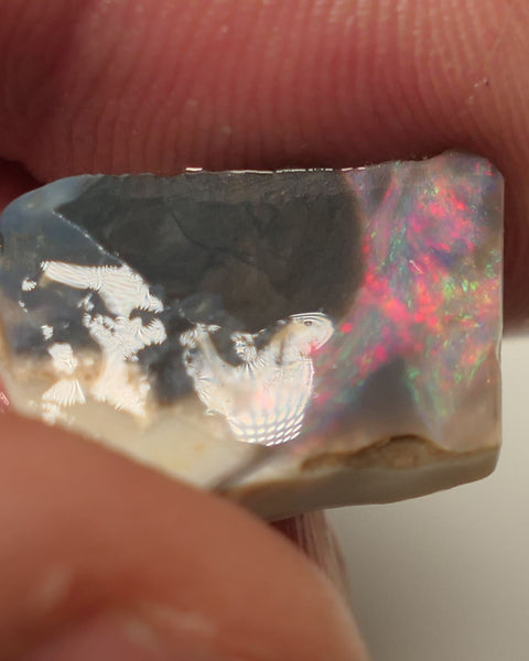 Lightning Ridge Opal Miners Bench® Dark Base Seam Rough Rub 2.3cts Reds & Multifires to face 15x5x3mm 0420