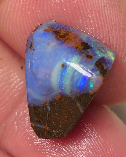 Queensland Boulder Matrix opal 12cts rough / Rub Winton Bright Multifires 15x12x7mm 0423