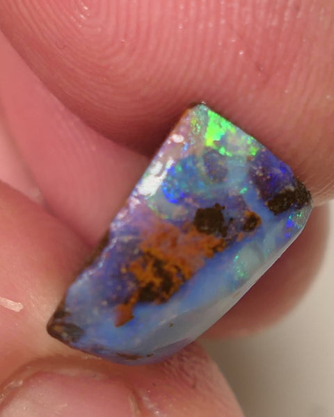 Queensland Boulder Matrix opal 12cts rough / Rub Winton Bright Multifires 15x12x7mm 0423