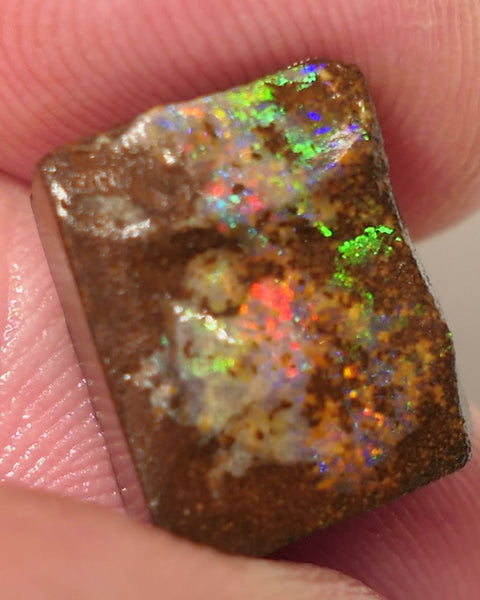 Queensland Boulder Matrix opal 14cts rough / Rub Winton Bright Gem Reds & Multifires 14x12x6mm 0424