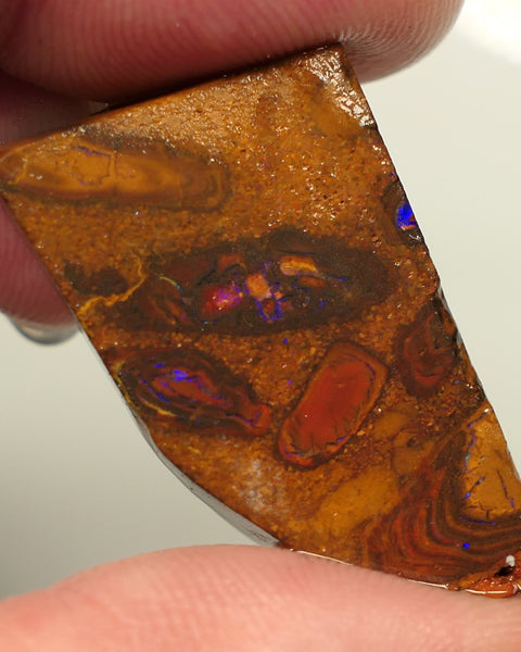 Queensland Boulder Matrix opal 58cts rough / slice Koroit Blues fires in the veins 29x21x10mm 0431