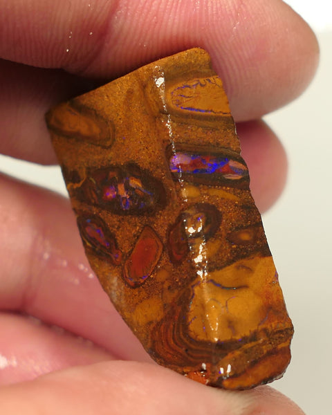 Queensland Boulder Matrix opal 58cts rough / slice Koroit Blues fires in the veins 29x21x10mm 0431