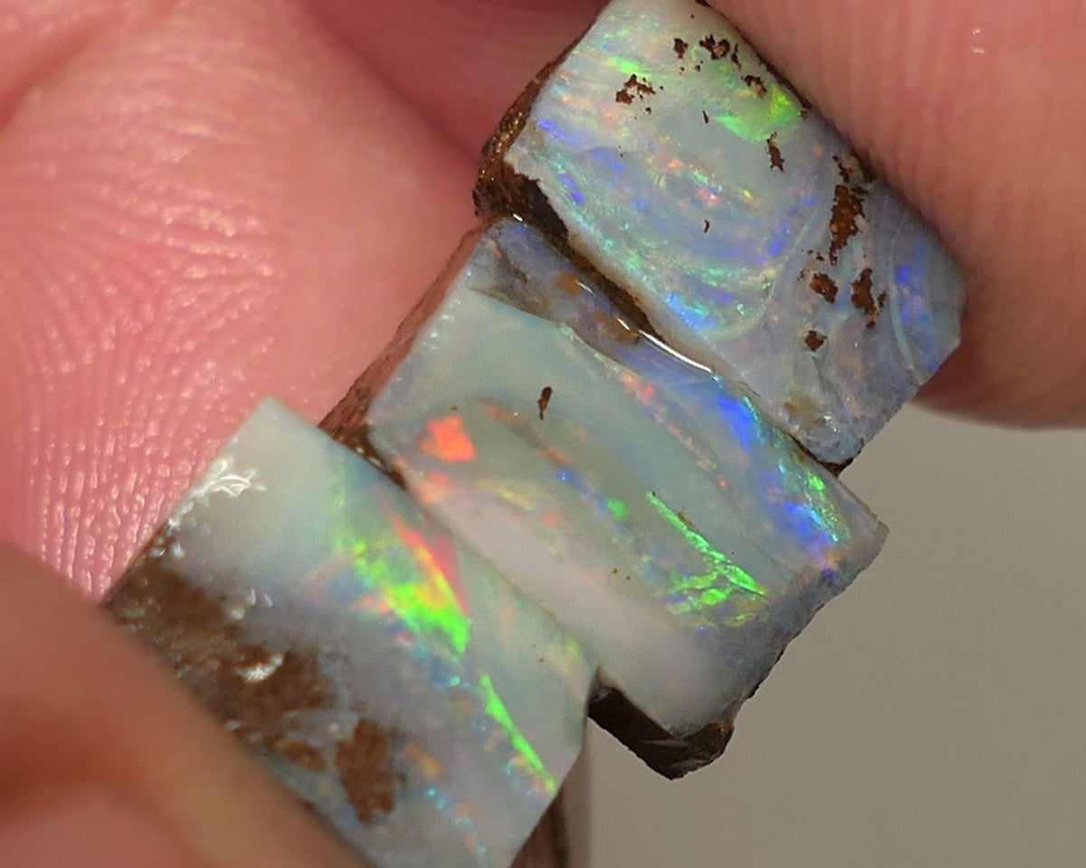 Queensland Boulder opal 6.6cts rough / Rub / preforms Winton Bright Gem Reds & Multifires 10x6x3mm to 9x6x2.5mm WAC71