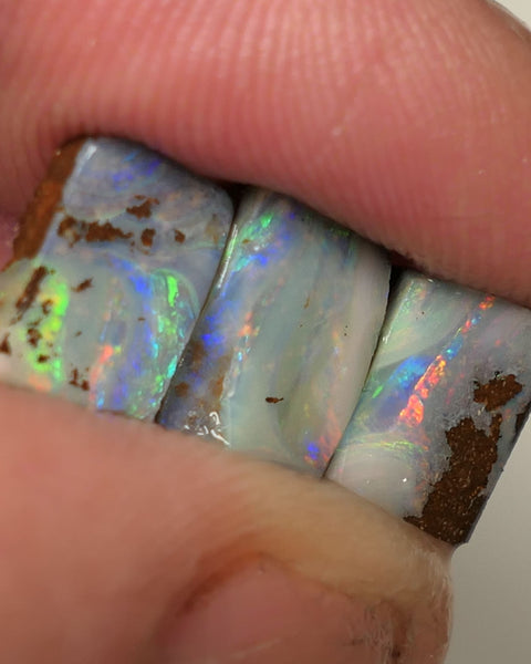 Queensland Boulder opal 6.6cts rough / Rub / preforms Winton Bright Gem Reds & Multifires 10x6x3mm to 9x6x2.5mm WAC71