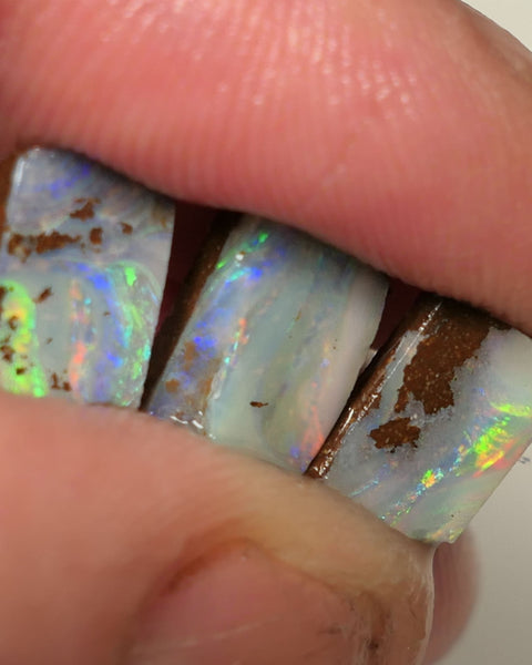 Queensland Boulder opal 6.6cts rough / Rub / preforms Winton Bright Gem Reds & Multifires 10x6x3mm to 9x6x2.5mm WAC71