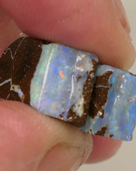 Queensland Boulder opal 22cts rough / slice / rubs Perfect for ring stones Koroit nice fires both approx 17x12x6mm 0440