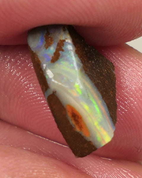 Queensland Boulder opal 7.5cts rough Gorgeous Winton Material Gorgeous Yellow dominant fires with flashes of oranges & blues 16x11x5mm 0439