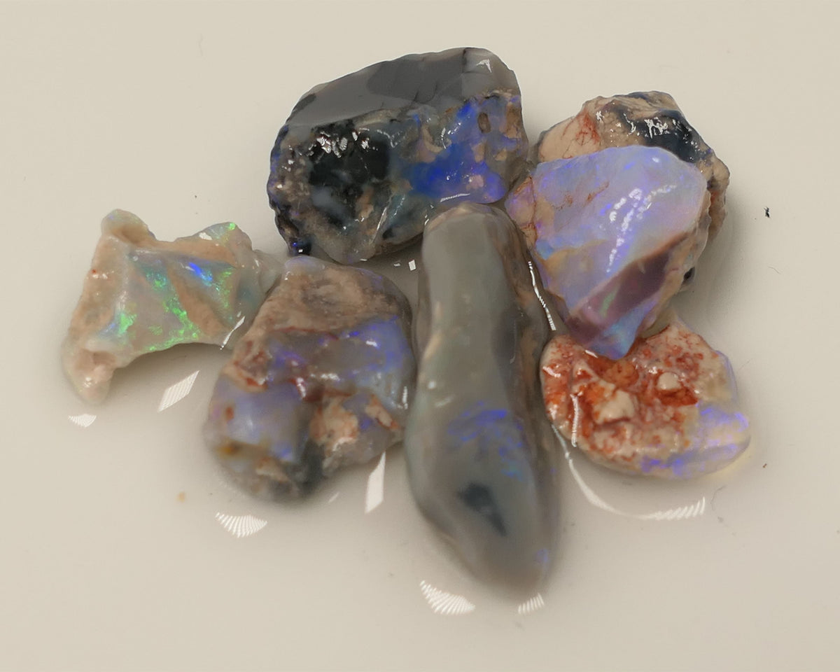 Lightning Ridge Rough Opal 36cts Gamble Dark Base Knobby,  Fossil &n Seam Showing Mostly Blue Colours 22x10x5mm & 10x8x3mm 0516