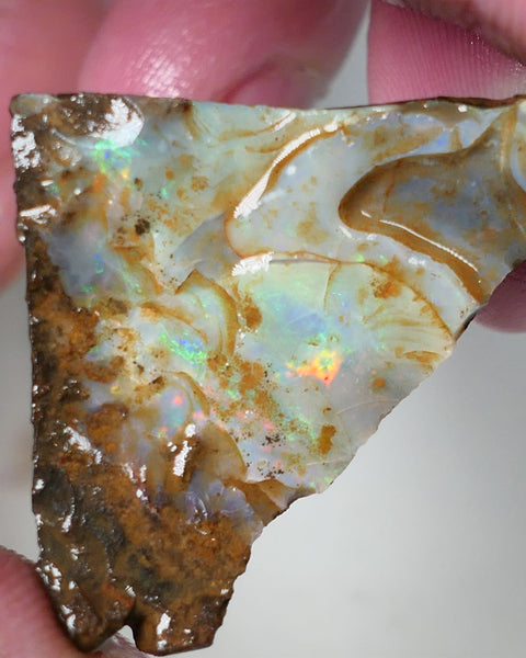 Queensland Boulder Matrix opal cts rough Koroit Multifires showing on the face 38x30x14mm 0530