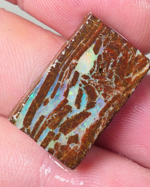 Queensland Boulder Matrix opal 20cts rough / slice Koroit Blues fires in the veins 25x13x5mm 0536