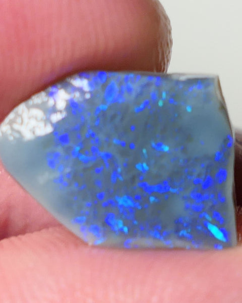 Lightning Ridge Opal Dark Base Seam Rough Rub 4.2cts Gorgeous Display of Greens & blues 15x11x3mm 0539