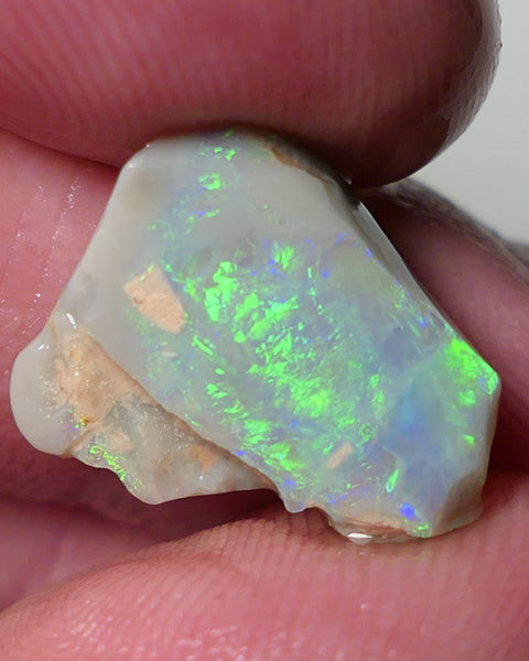 Lightning Ridge Opal Dark Base Seam Rough Rub 4.75cts Gorgeous Display of Bright Multifires 15x11x3mm 0541