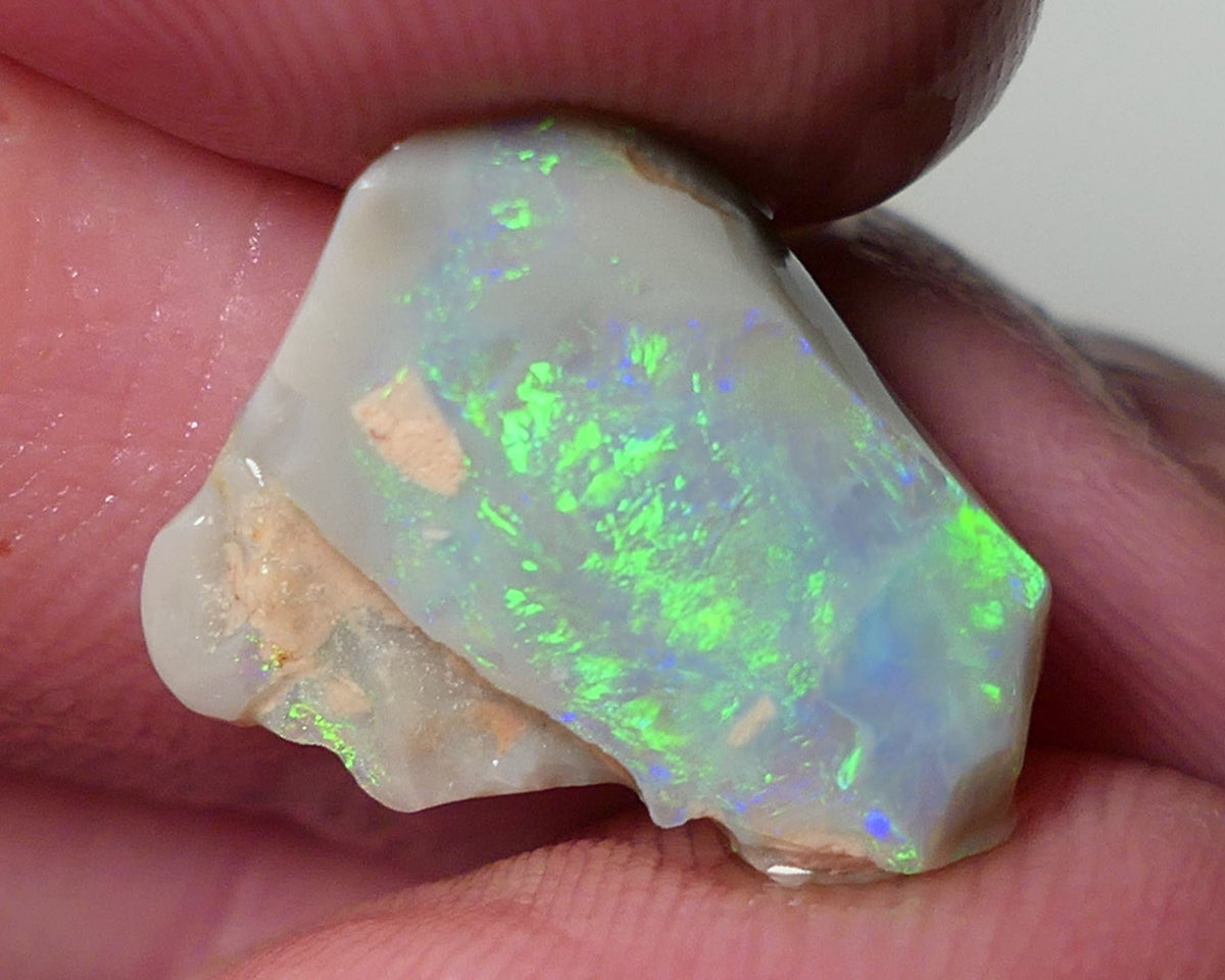 Opal Fever Mate Auction