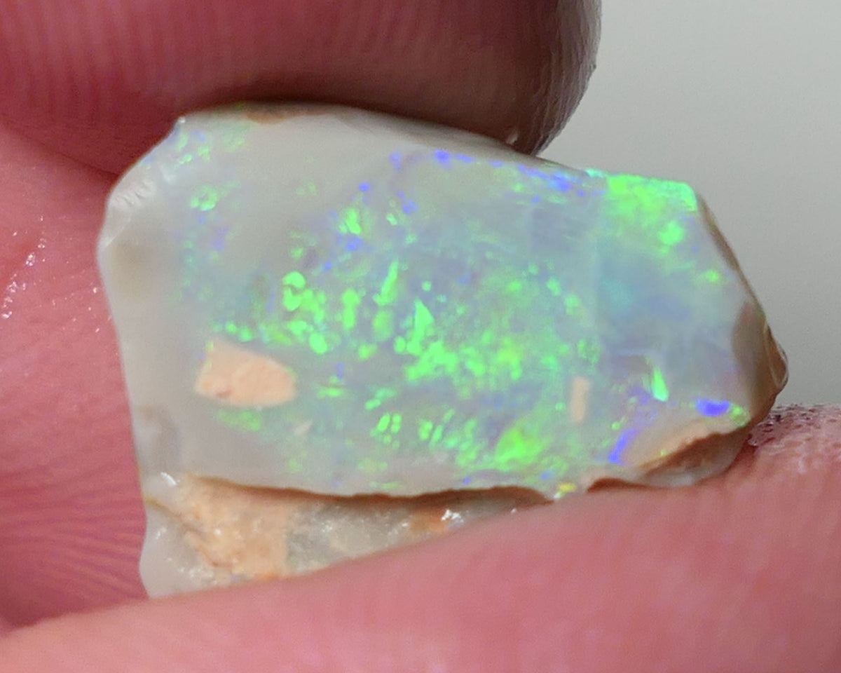 Lightning Ridge Opal Dark Base Seam Rough Rub 4.75cts Gorgeous Display of Bright Multifires 15x11x3mm 0541