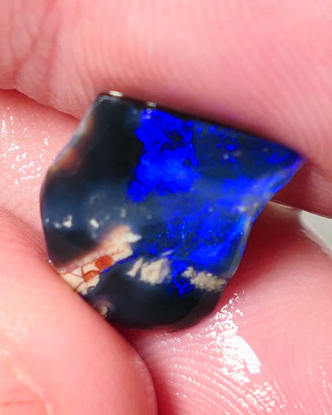 Lightning Ridge Opal Black Base Seam Rough Rub 3.5cts Electric Display of Super Super Bright Blues 13x11x4mm 0542