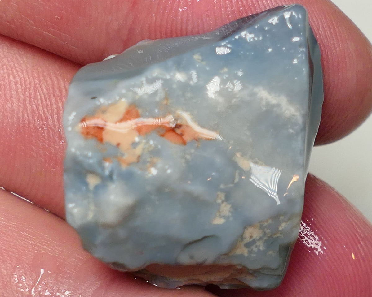 Lightning Ridge Rough Opal 39cts Dark Base Seam formation showing some Blues in the bars 27x25x15mm 0557