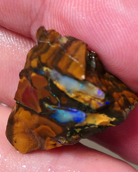 Queensland Boulder Matrix opal 38cts rough Koroit Blues fires in the veins 22x20x13mm 0601