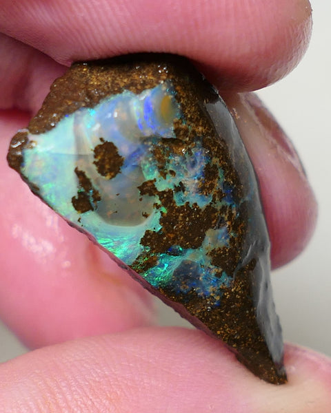 Queensland Boulder opal 19cts rough / rub Koroit Faced with Blue Yellow & Green fires 30x15x7mm 0603