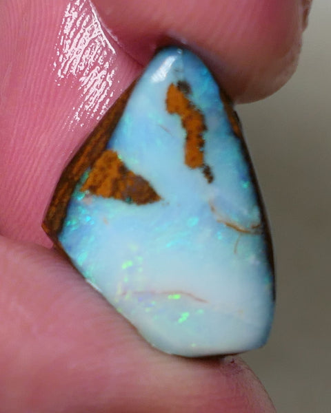 Queensland Boulder opal 13cts rough / rub Koroit Faced with Blues & Green fires 20x15x10mm 0604