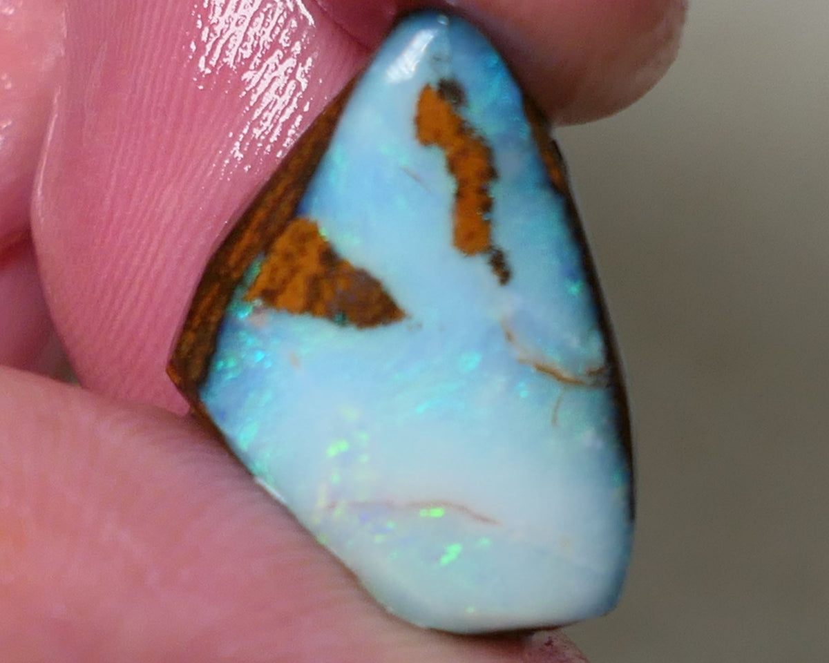 Queensland Boulder opal 13cts rough / rub Koroit Faced with Blues & Green fires 20x15x10mm 0604