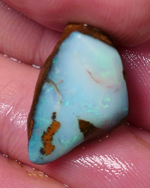 Queensland Boulder opal 13cts rough / rub Koroit Faced with Blues & Green fires 20x15x10mm 0604