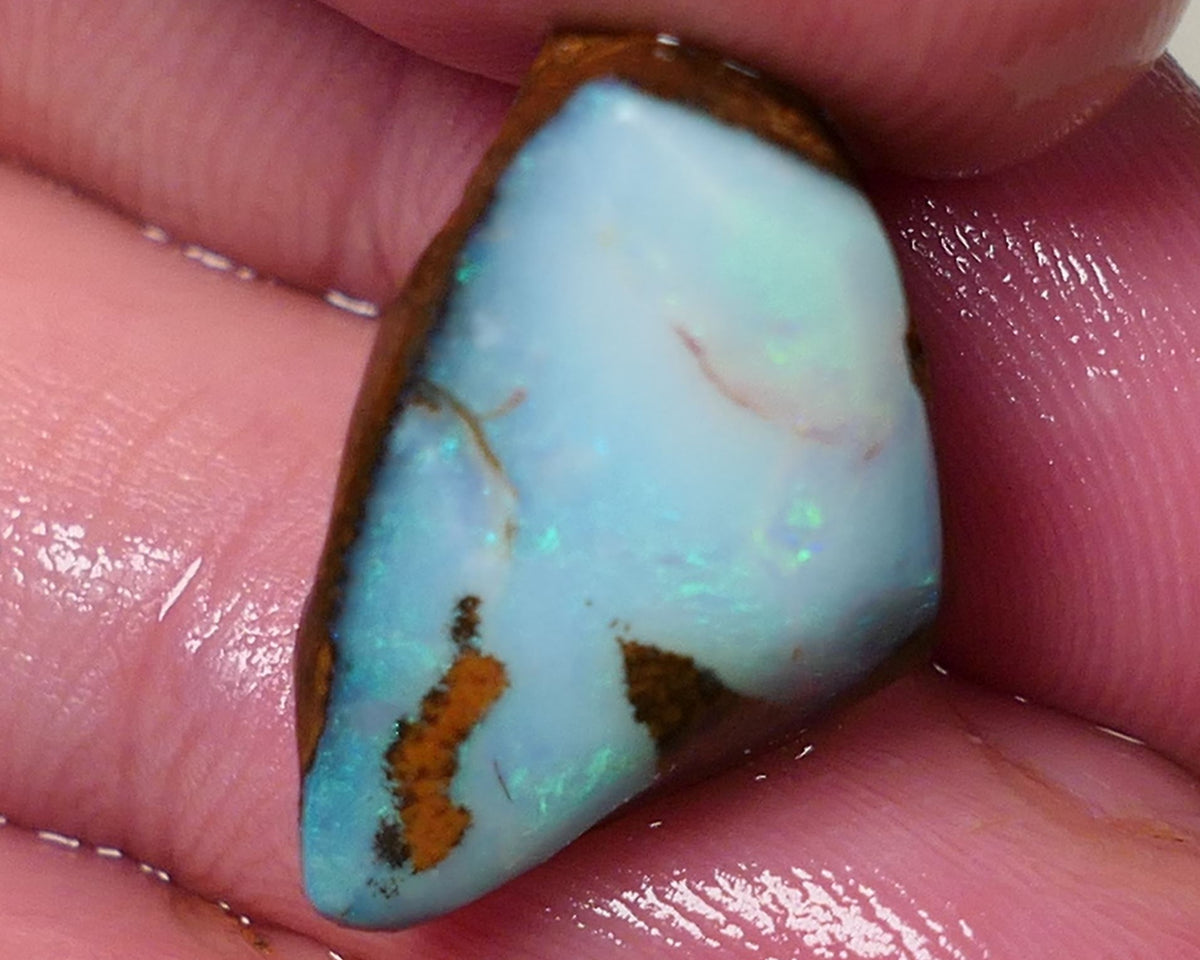 Queensland Boulder opal 13cts rough / rub Koroit Faced with Blues & Green fires 20x15x10mm 0604