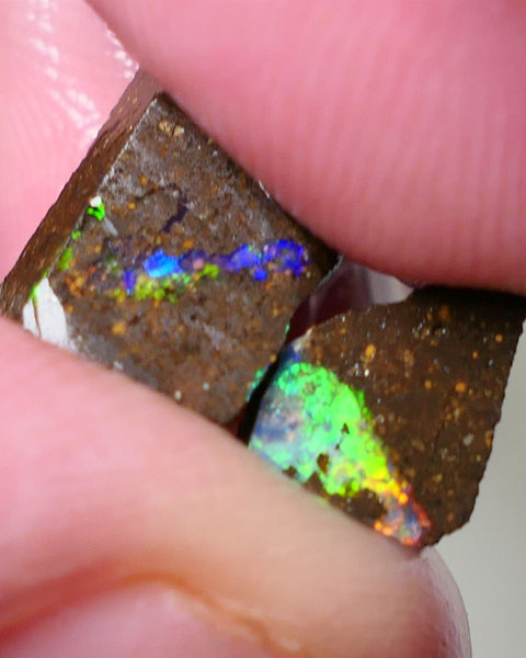 Queensland Boulder Boulder opal 5cts rough / Rubs Winton Bright Electric Multifires 13x9x3mm & 6x4x3mm 0606