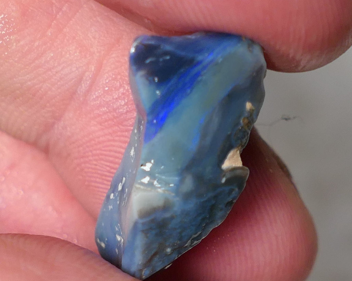 Lightning Ridge Rough Opal 10cts Dark Base Gamble Seam Blues in the bar 24x10x9mm 0621