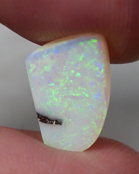 Winton Boulder Pipe Opal Gemstone 3.55cts Jewellery Grade  N8 Body Tone B3 Brightness Stunning Display of Bright floral Confetti Multifires 14x10x3mm 0620