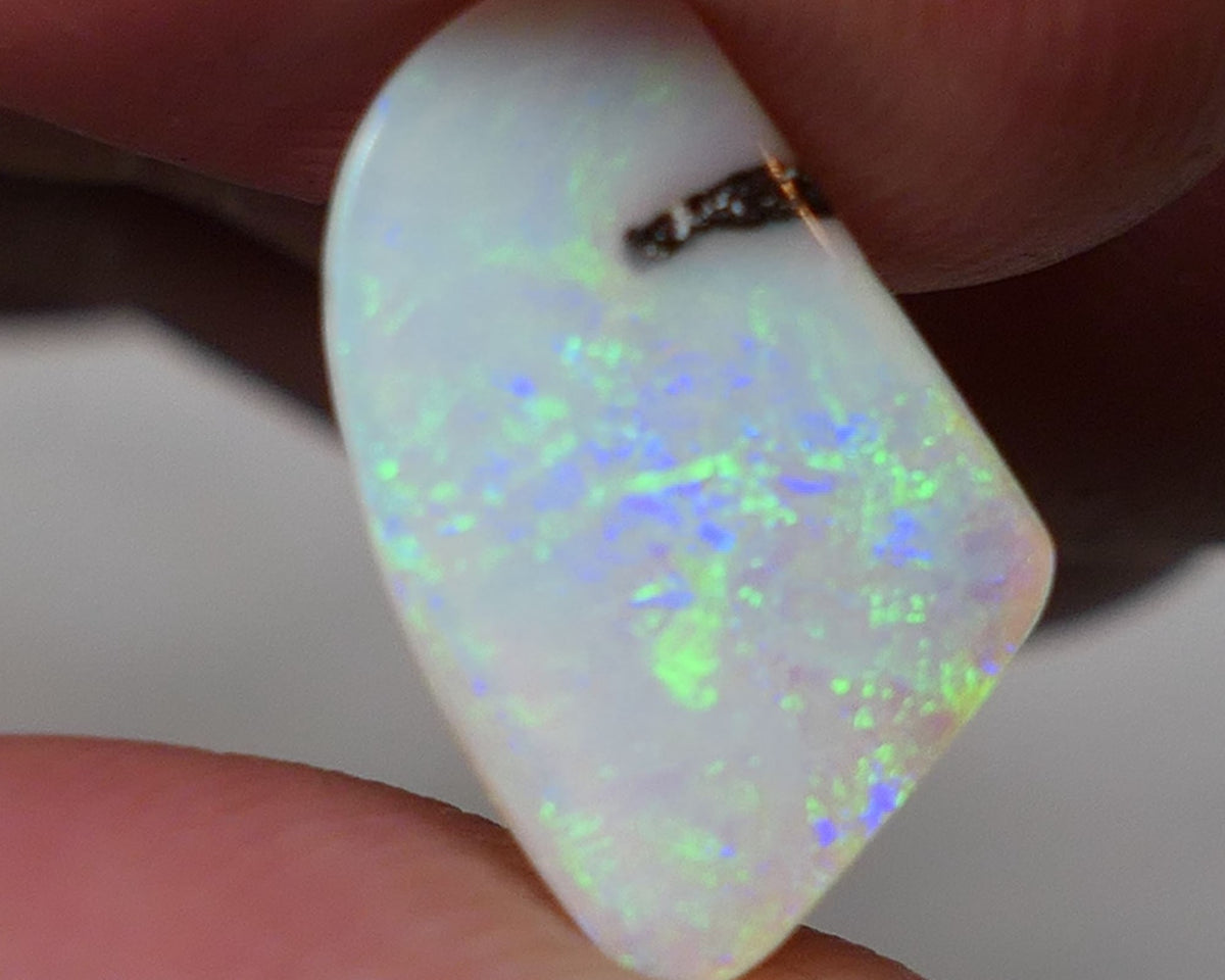 Winton Boulder Pipe Opal Gemstone 3.55cts Jewellery Grade  N8 Body Tone B3 Brightness Stunning Display of Bright floral Confetti Multifires 14x10x3mm 0620