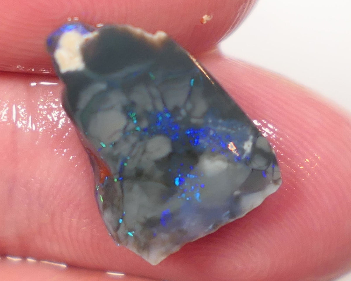 Lightning Ridge Opal Black Base Seam Rough Rub 4.7cts Stunning Bright Blues & greens 15x12x5mm 0623