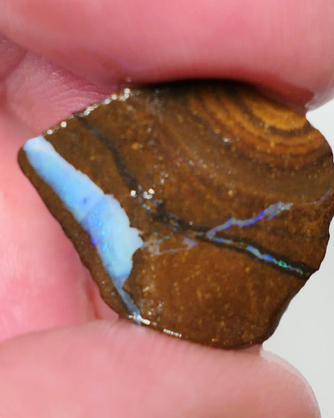 Queensland Boulder Matrix opal 7.5cts rough / rub Winton Blues & Green fires in the veins 20x15x3mm 0624