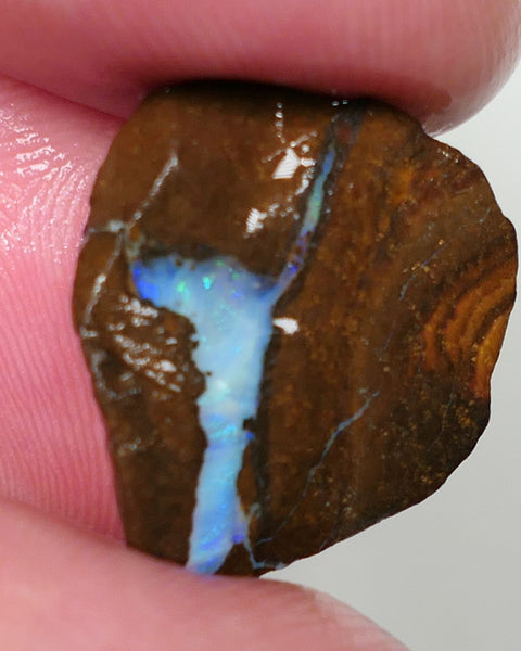 Queensland Boulder Matrix opal 7.5cts rough / rub Winton Blues & Green fires in the veins 20x15x3mm 0624