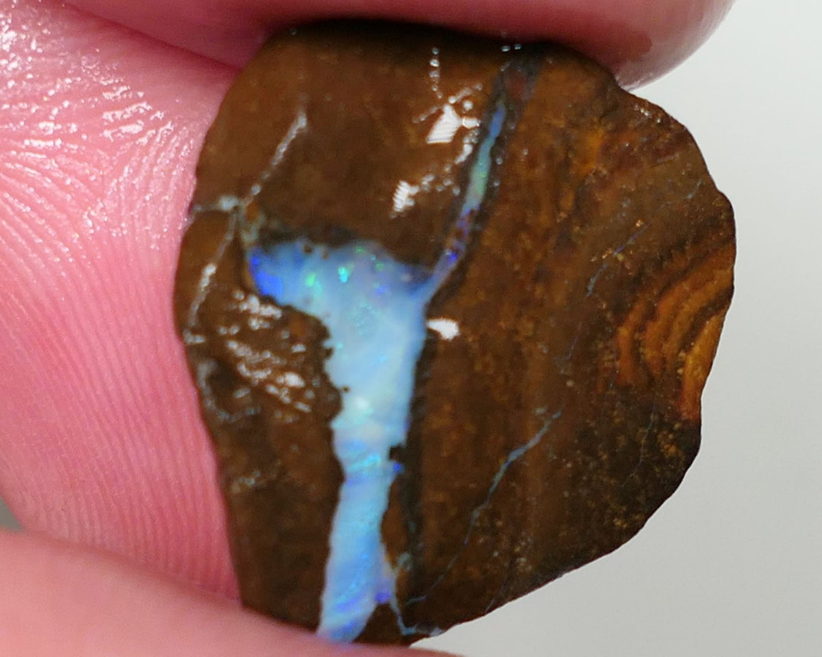 Queensland Boulder Matrix opal 7.5cts rough / rub Winton Blues & Green fires in the veins 20x15x3mm 0624