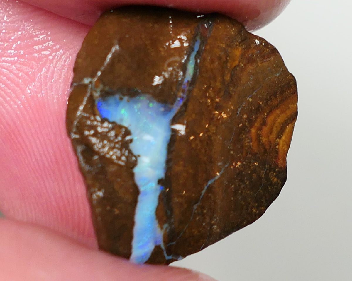 Queensland Boulder Matrix opal 7.5cts rough / rub Winton Blues & Green fires in the veins 20x15x3mm 0624