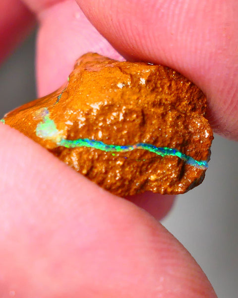 Queensland Boulder Matrix opal 20cts rough Winton Amazing very Unique & Bright colour in veins  18x15x10mm WAE11