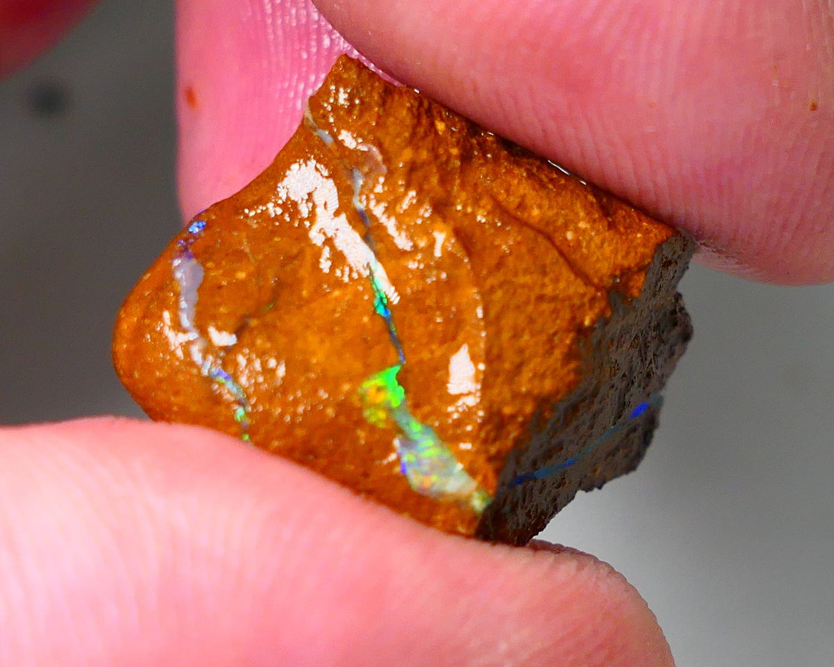 Queensland Boulder Matrix opal 20cts rough Winton Amazing very Unique & Bright colour in veins  18x15x10mm WAE11