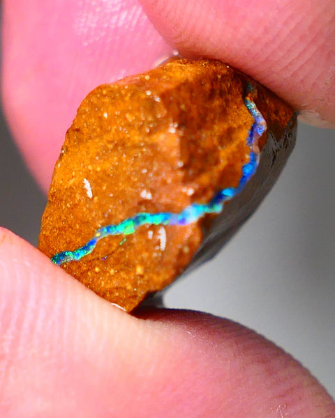 Queensland Boulder Matrix opal 20cts rough Winton Amazing very Unique & Bright colour in veins  18x15x10mm WAE11