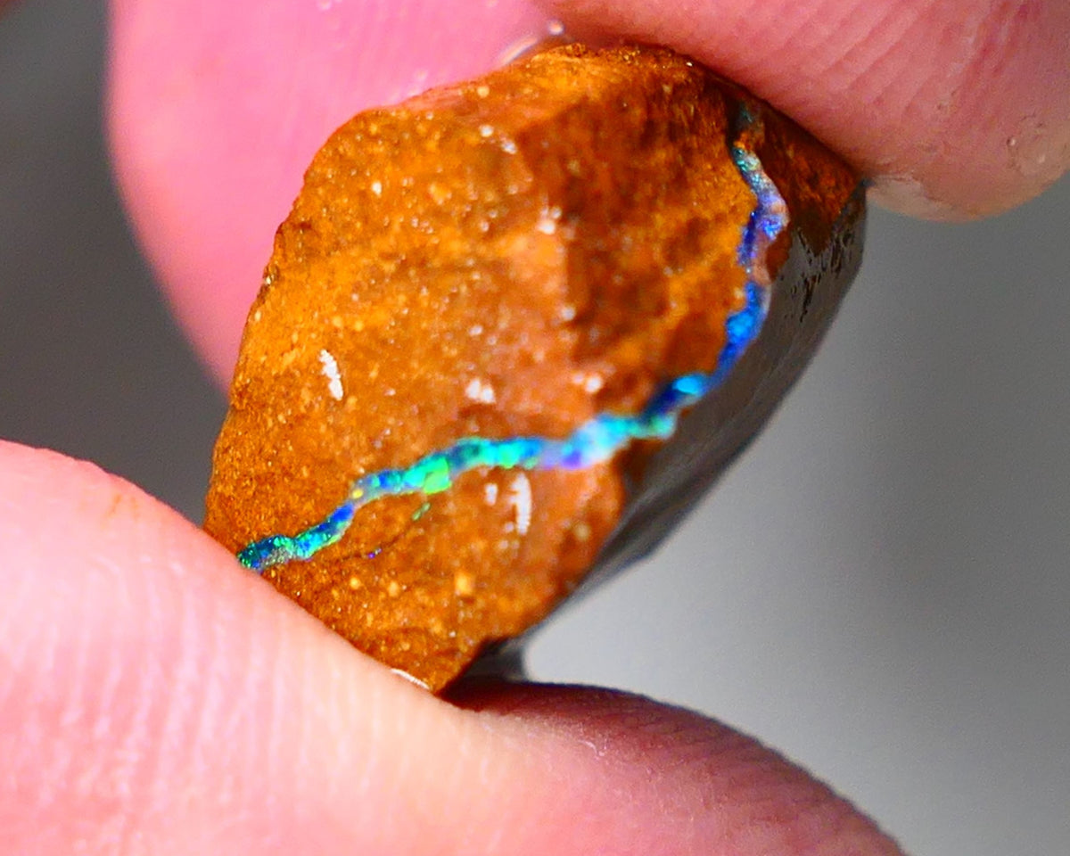 Queensland Boulder Matrix opal 20cts rough Winton Amazing very Unique & Bright colour in veins  18x15x10mm WAE11